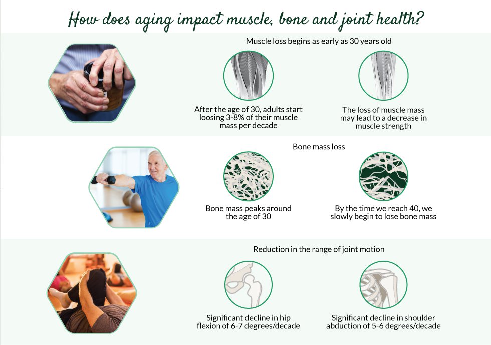 muscle-bones-joints