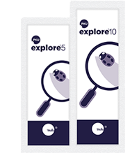 Explore Brand